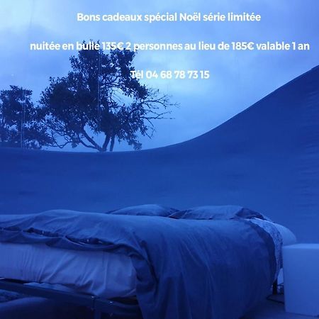 לינה וארוחת בוקר Labastide-en-Val Relais De L'Alsou- Piscine מראה חיצוני תמונה