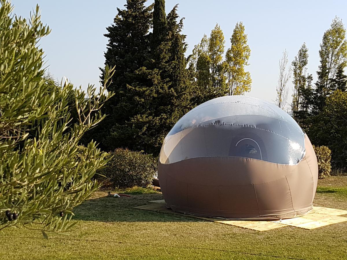 לינה וארוחת בוקר Labastide-en-Val Relais De L'Alsou- Piscine מראה חיצוני תמונה