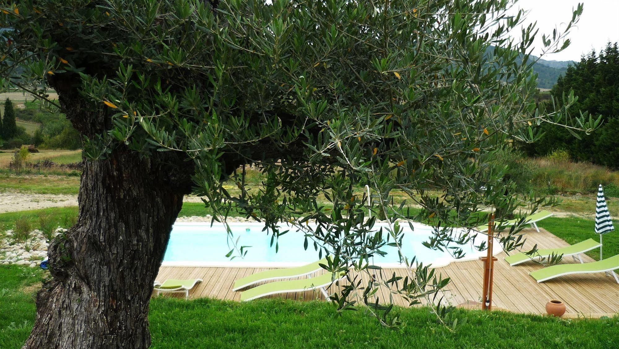 לינה וארוחת בוקר Labastide-en-Val Relais De L'Alsou- Piscine מראה חיצוני תמונה