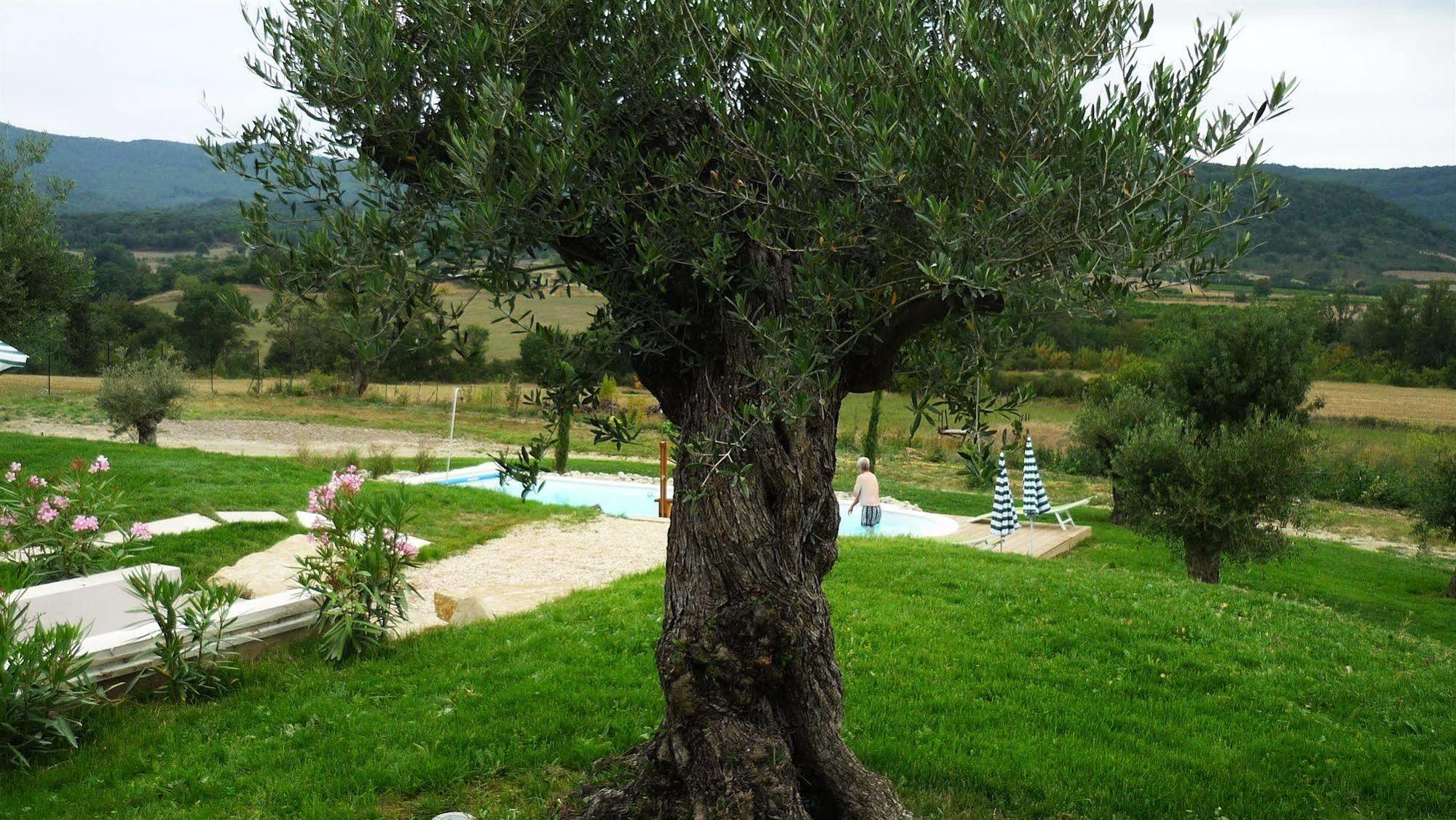 לינה וארוחת בוקר Labastide-en-Val Relais De L'Alsou- Piscine מראה חיצוני תמונה
