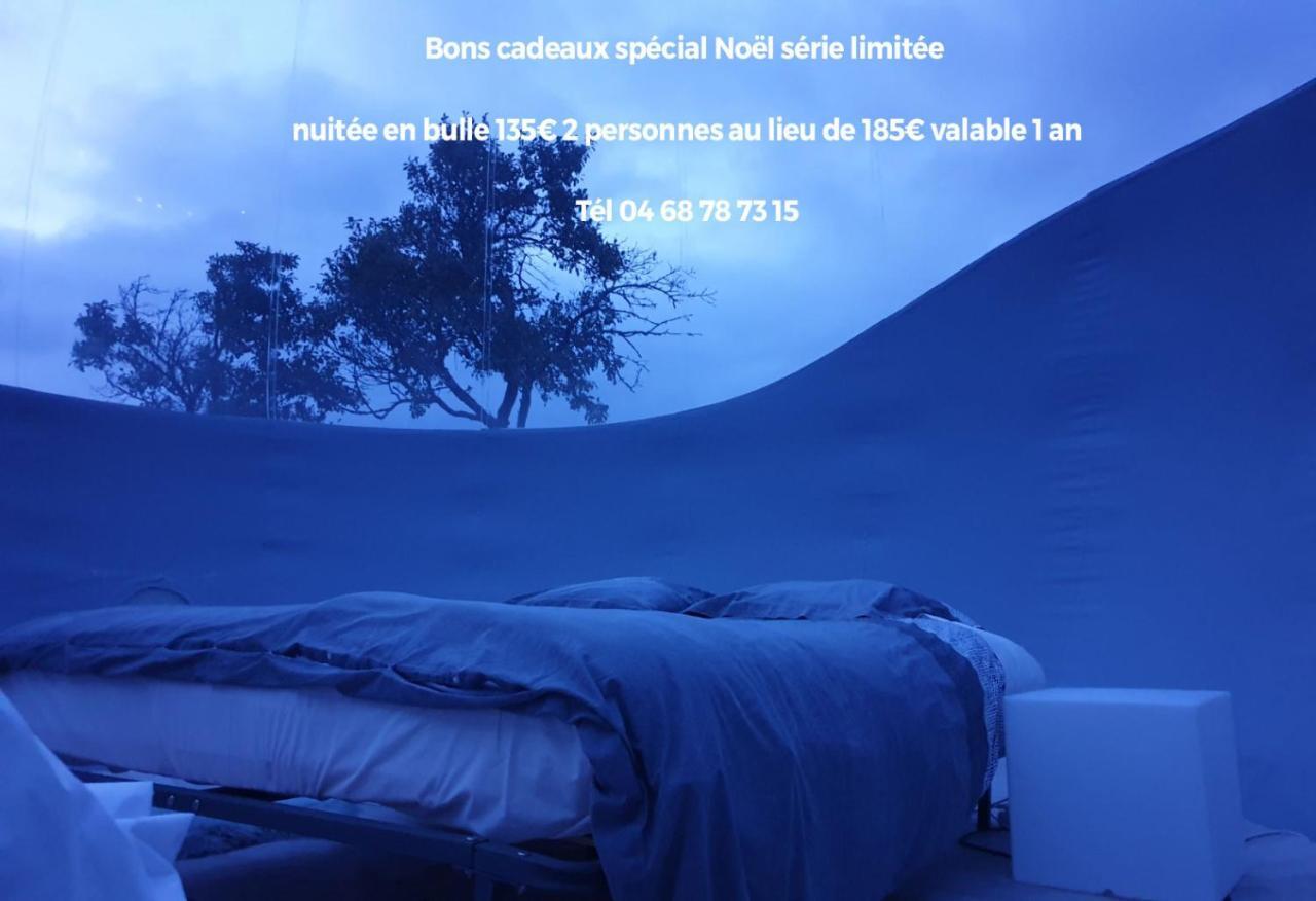 לינה וארוחת בוקר Labastide-en-Val Relais De L'Alsou- Piscine מראה חיצוני תמונה